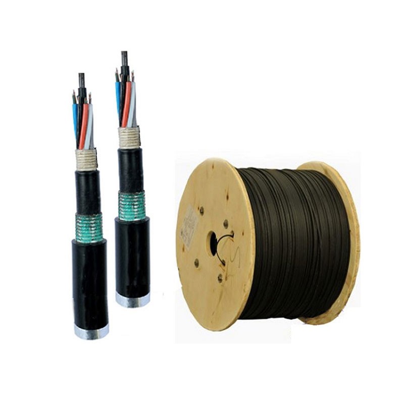 Cáp quang LS Outdoor 8 cores Singlemode (LT-DJBGSEX/BRN SE8XXX(06T2.00)) LS cable 11190052