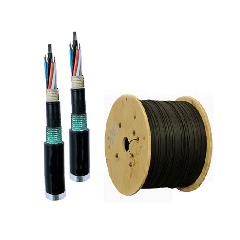 Cáp quang LS Outdoor 12 cores Singlemode (LT-DJBGSEX/BRN SE12XX(06T2.00)) LS cable 11190053